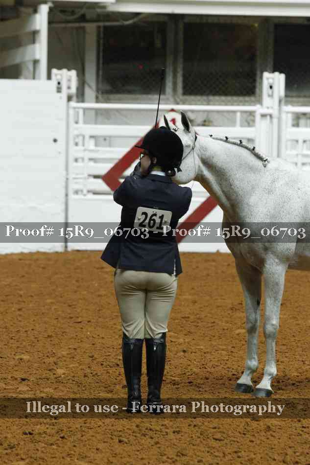 Proof Number 15R9_06703