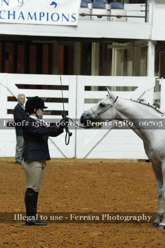 Proof Number 15R9_06705