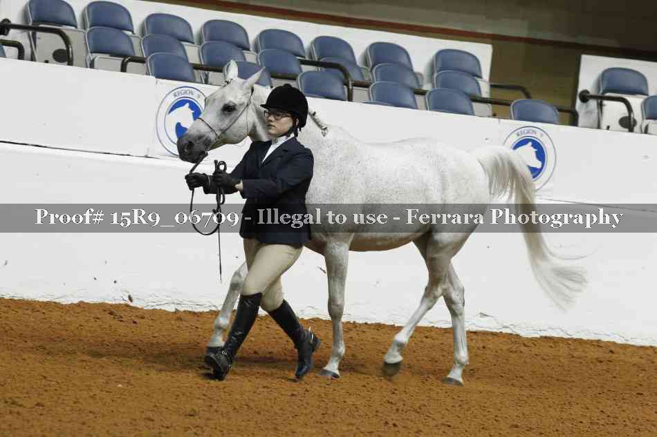 Proof Number 15R9_06709