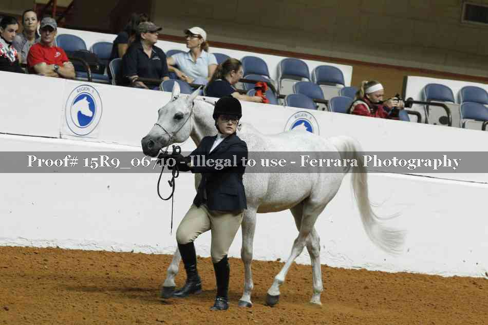 Proof Number 15R9_06710
