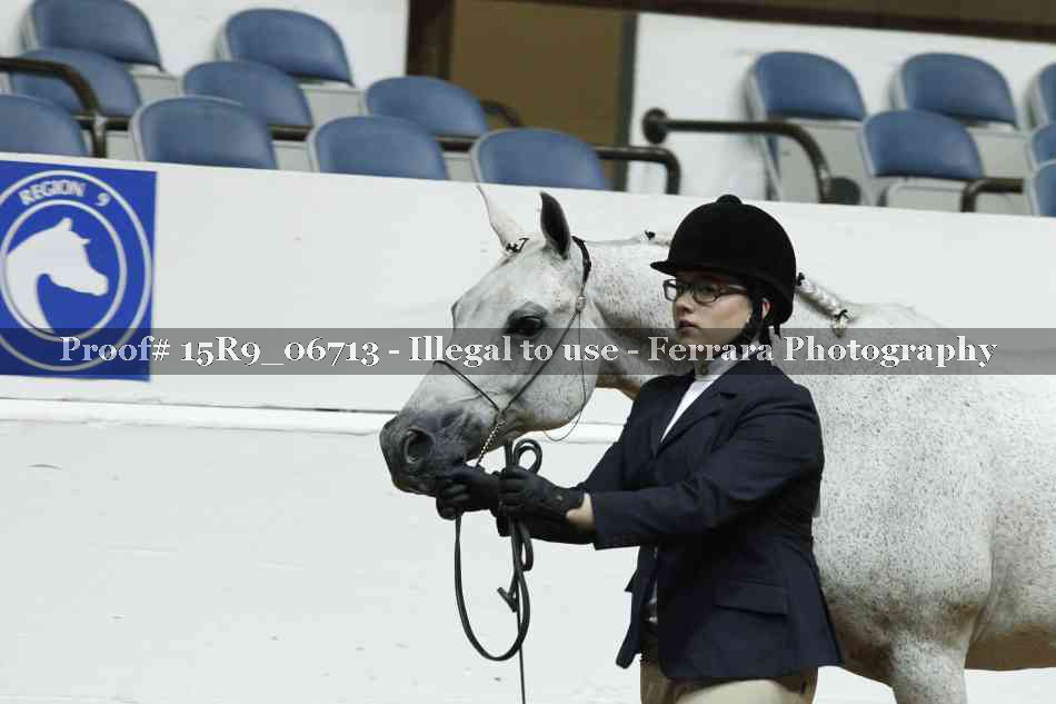 Proof Number 15R9_06713