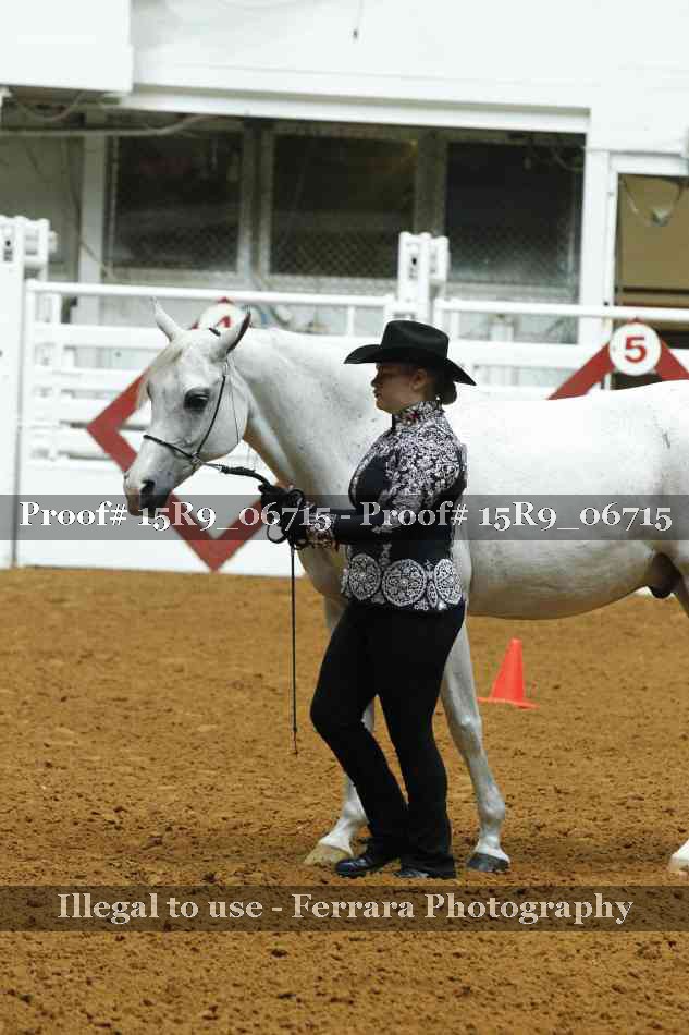 Proof Number 15R9_06715