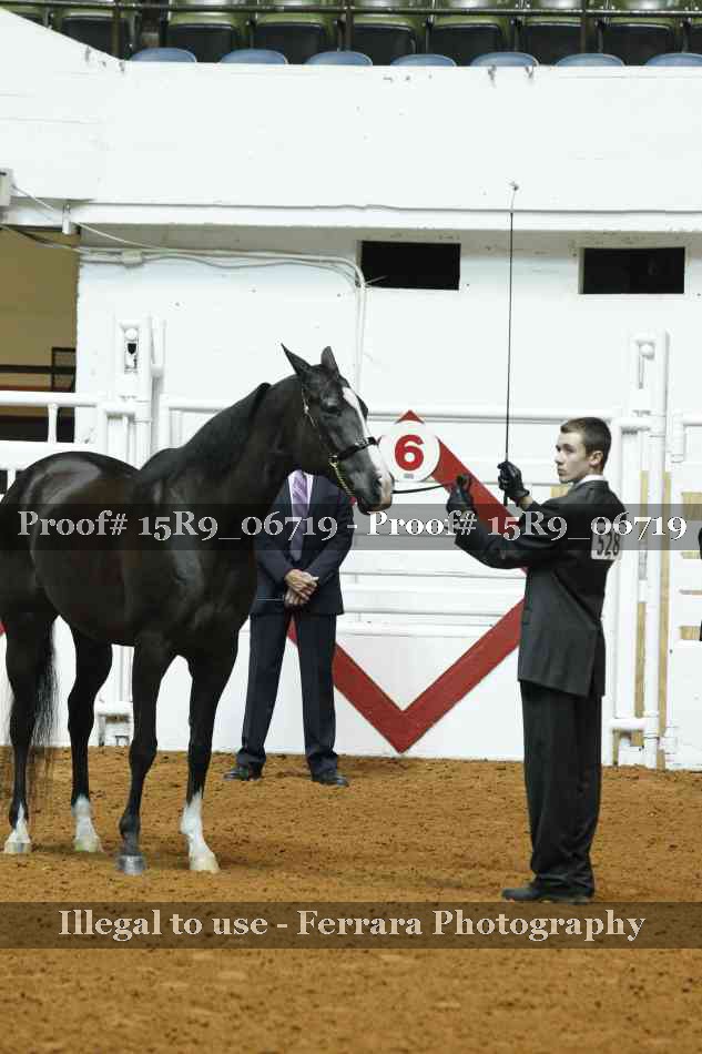 Proof Number 15R9_06719