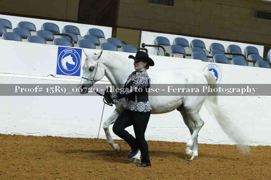 Proof Number 15R9_06720