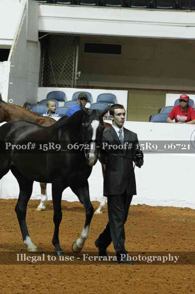 Proof Number 15R9_06721