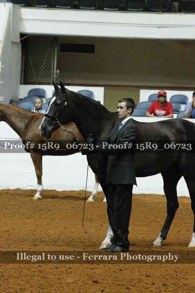 Proof Number 15R9_06723