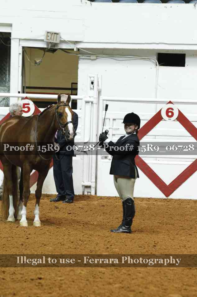 Proof Number 15R9_06728
