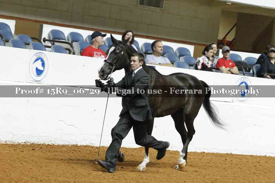 Proof Number 15R9_06729