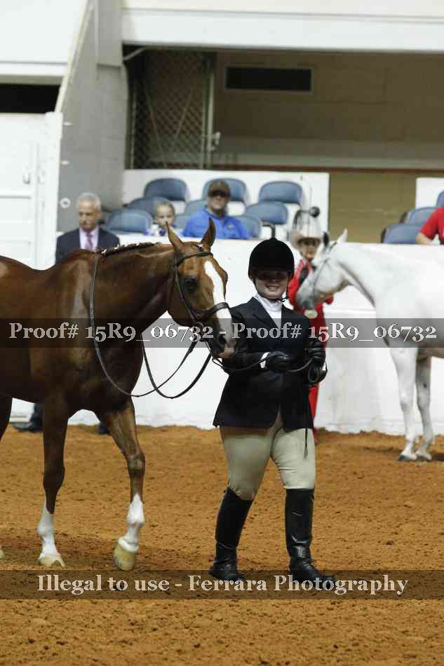 Proof Number 15R9_06732