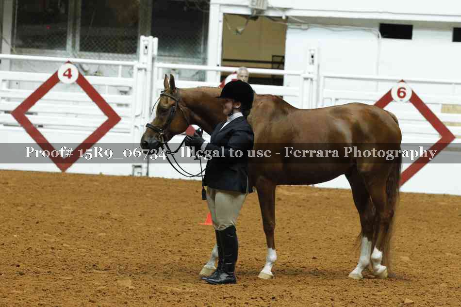Proof Number 15R9_06734