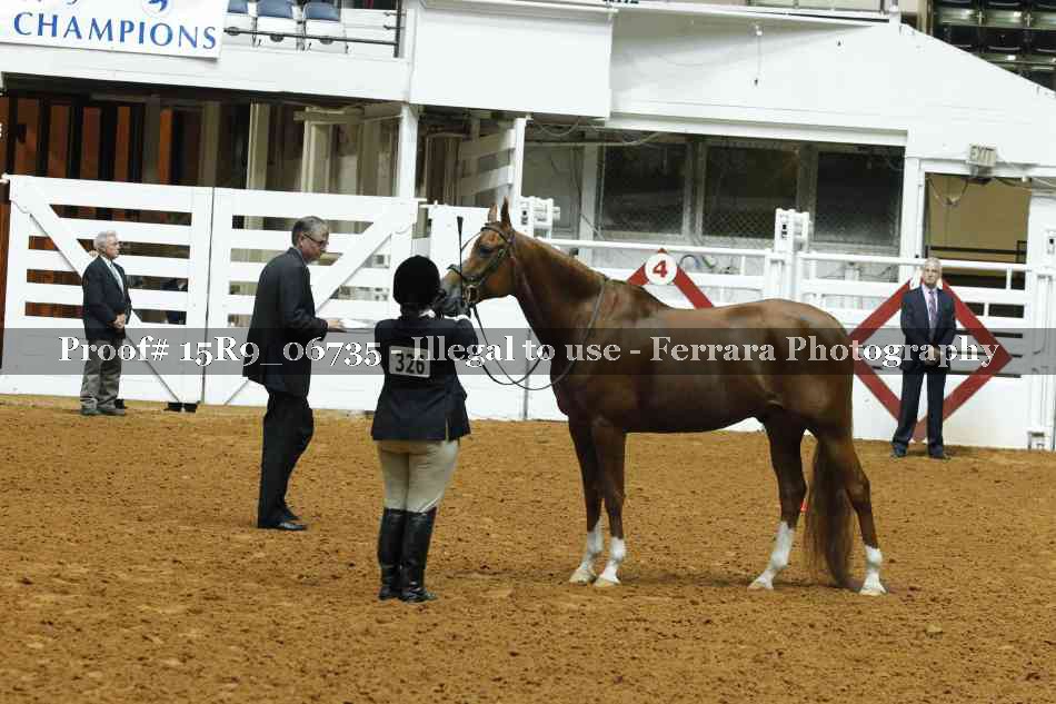 Proof Number 15R9_06735