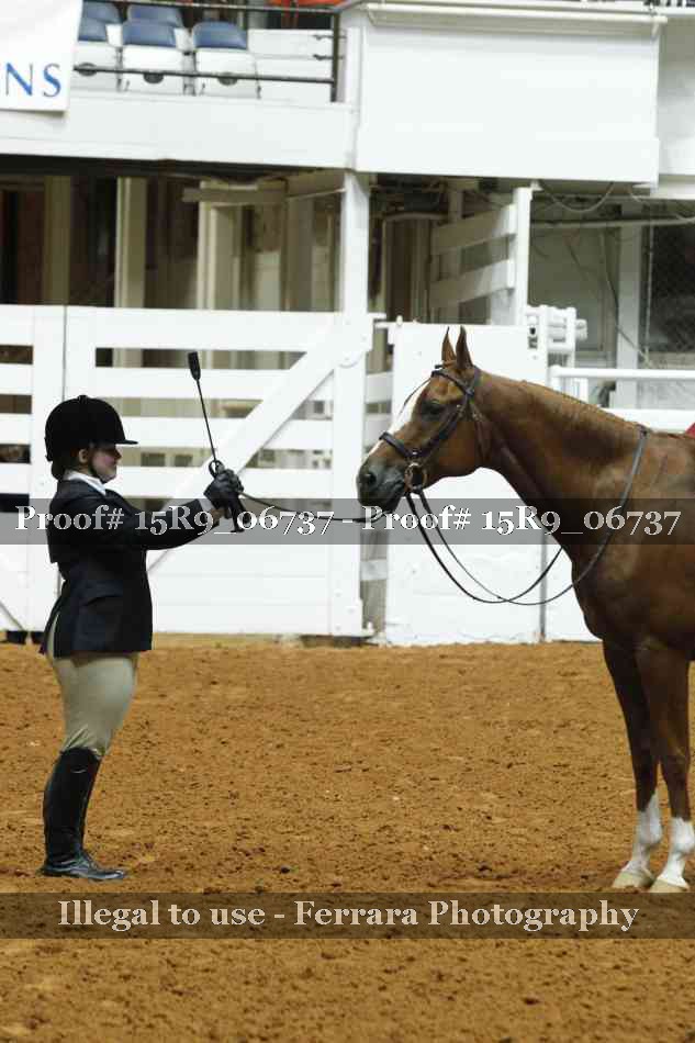 Proof Number 15R9_06737