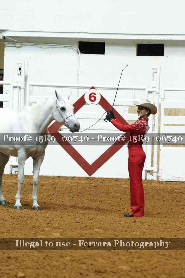 Proof Number 15R9_06740