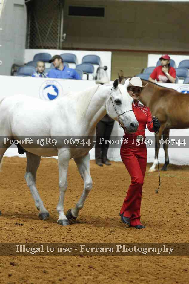 Proof Number 15R9_06744