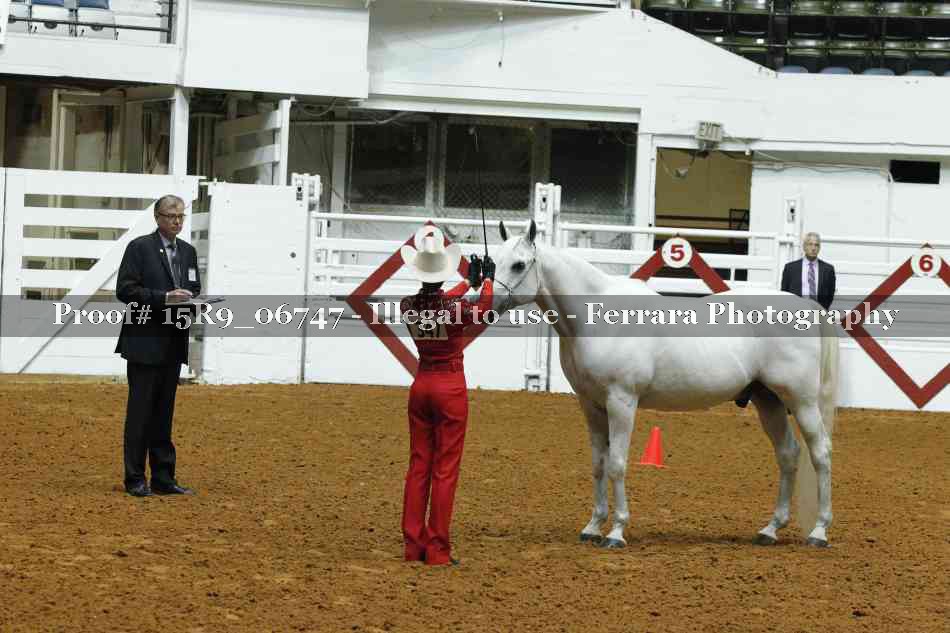 Proof Number 15R9_06747