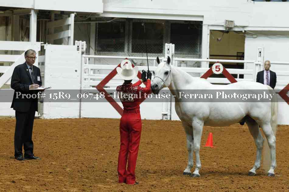 Proof Number 15R9_06748