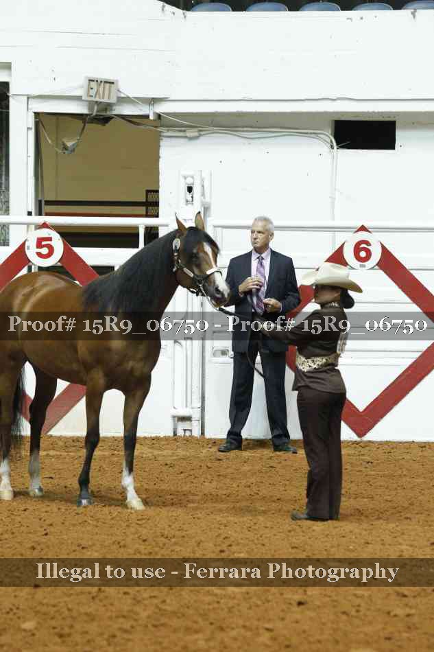 Proof Number 15R9_06750