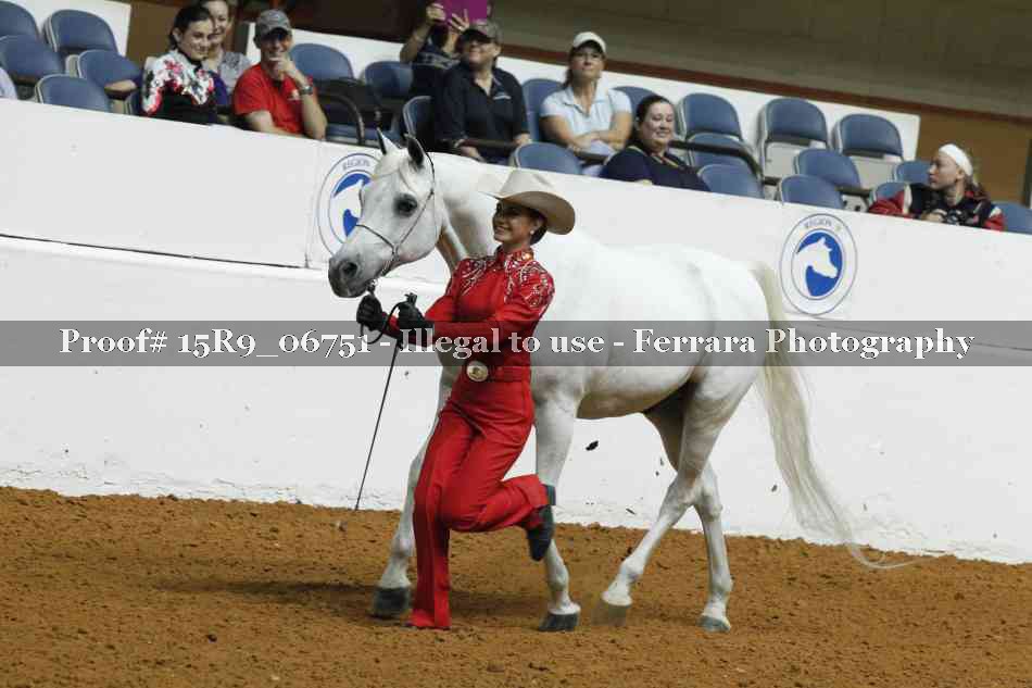 Proof Number 15R9_06751