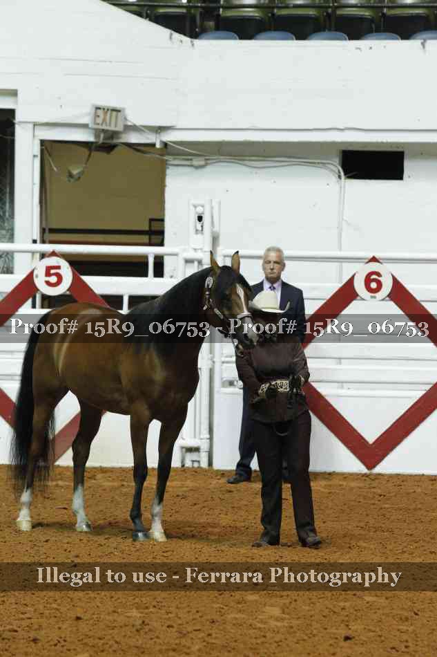 Proof Number 15R9_06753