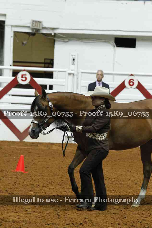 Proof Number 15R9_06755