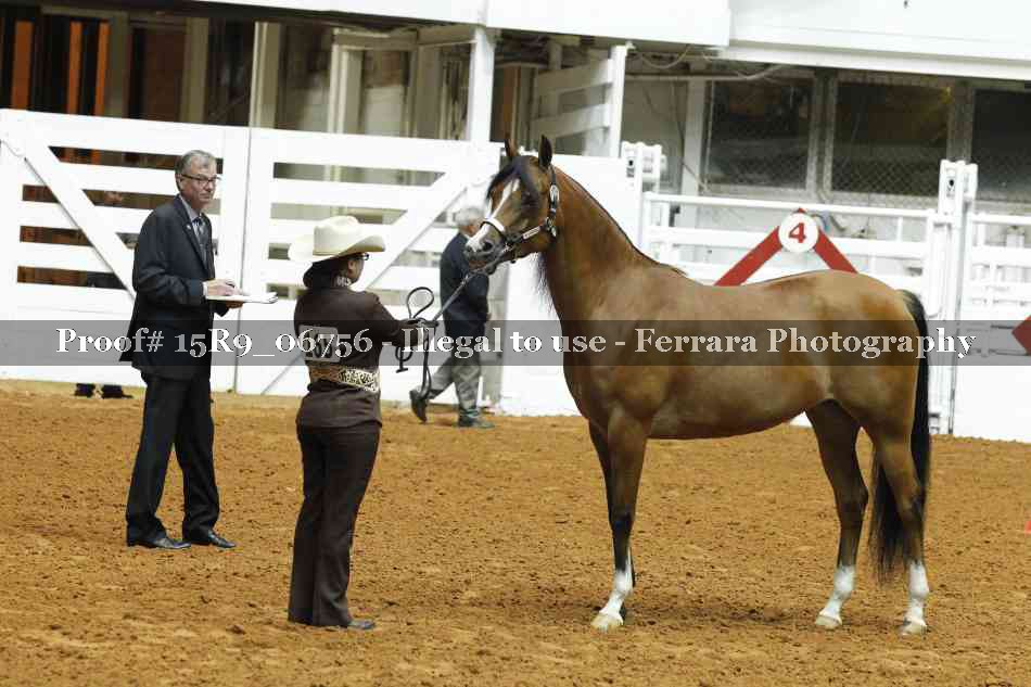Proof Number 15R9_06756