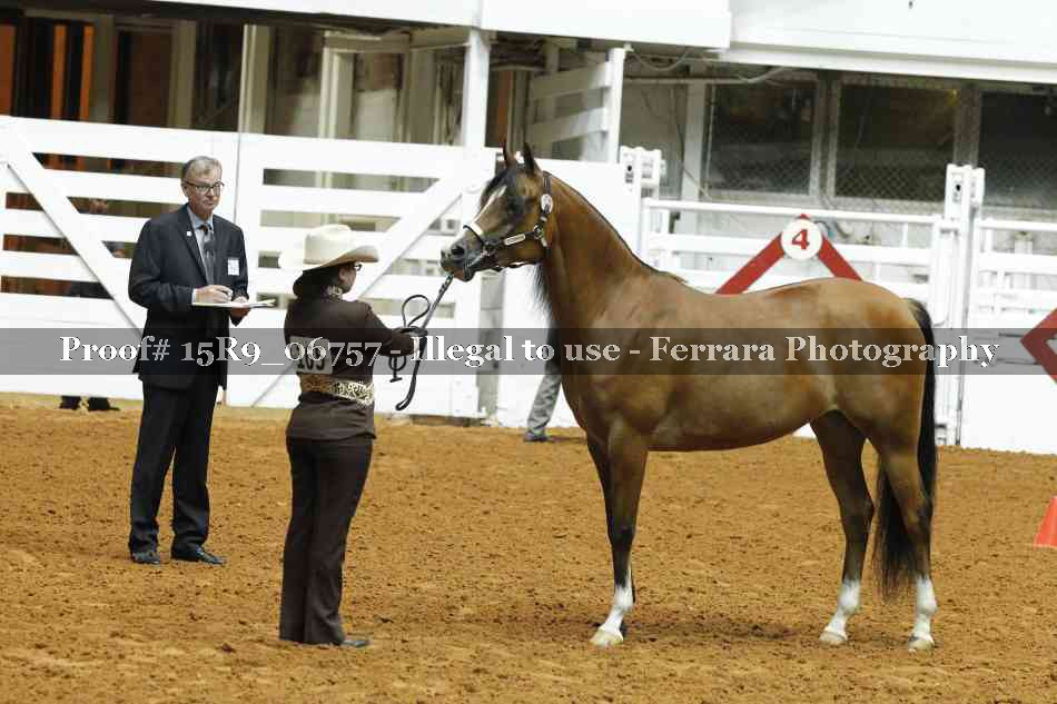 Proof Number 15R9_06757