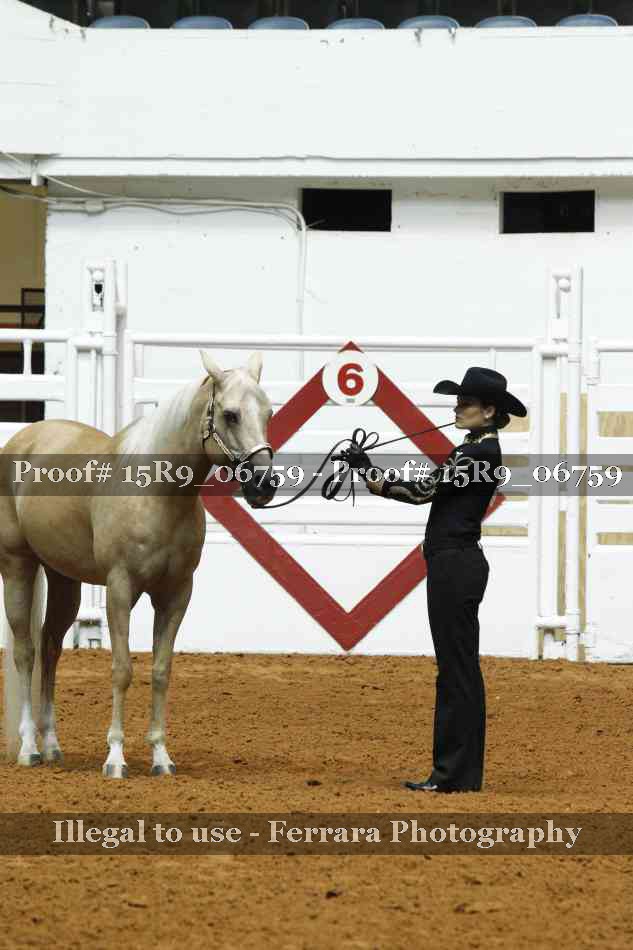 Proof Number 15R9_06759