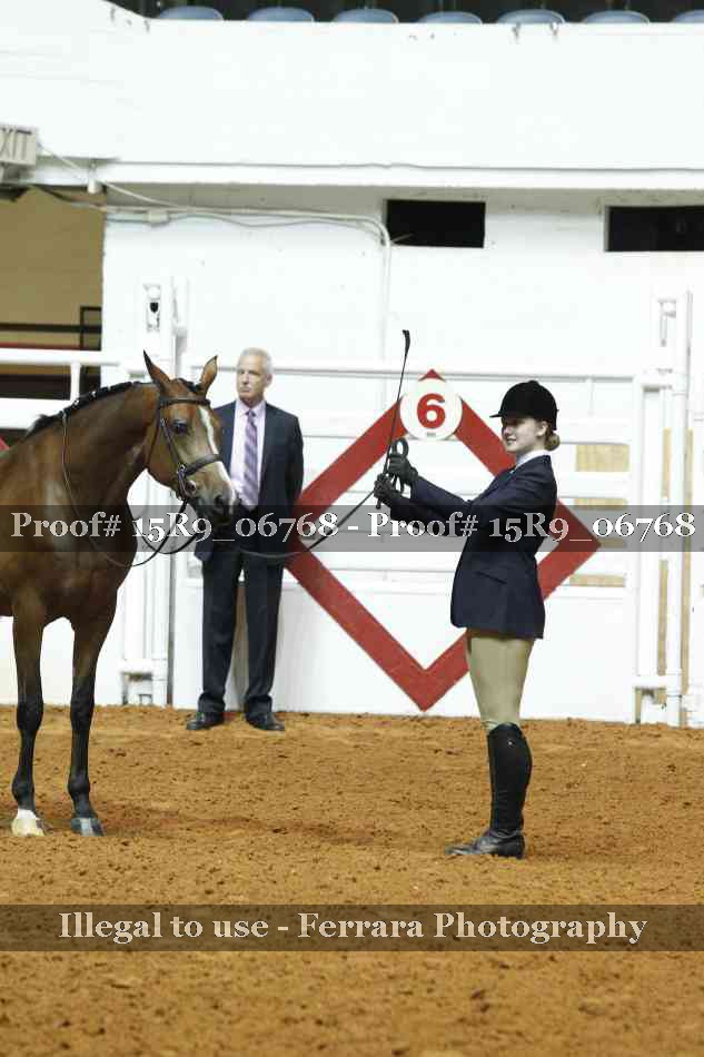 Proof Number 15R9_06768