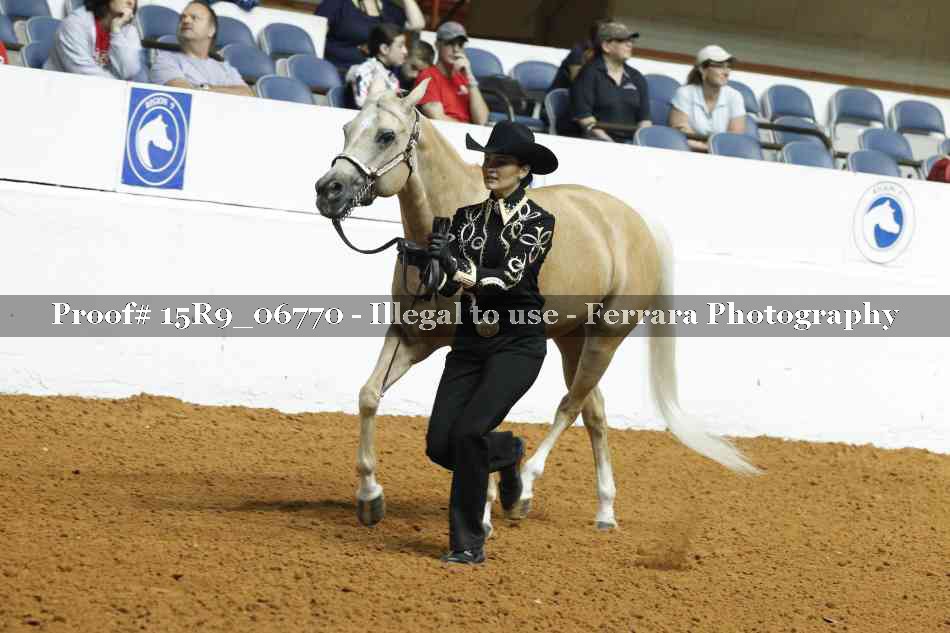 Proof Number 15R9_06770