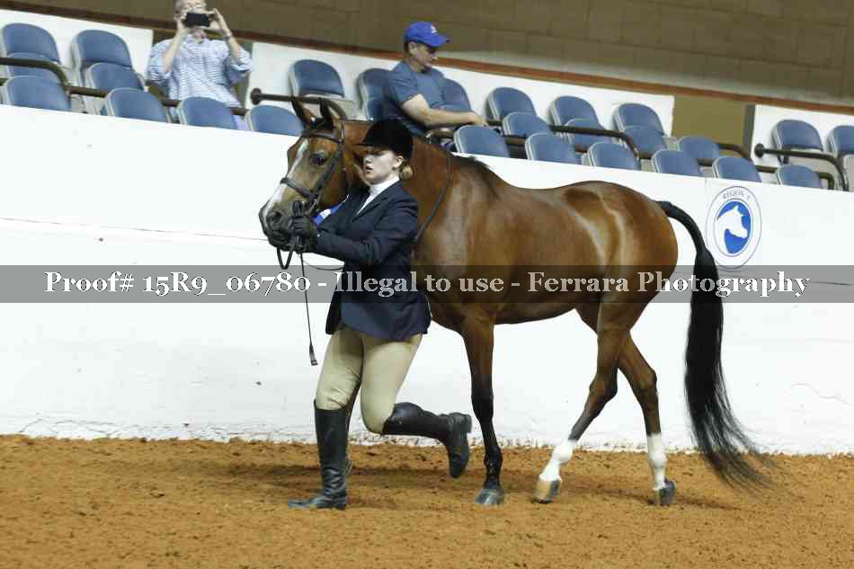 Proof Number 15R9_06780