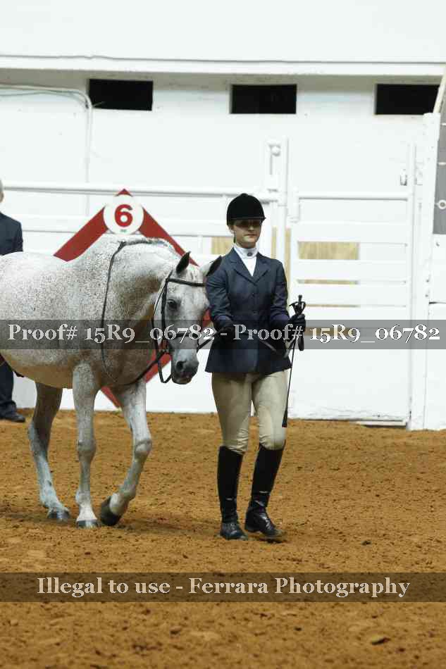Proof Number 15R9_06782