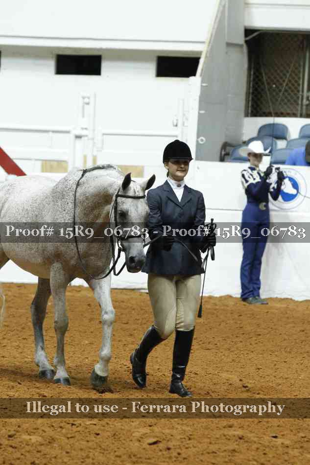 Proof Number 15R9_06783