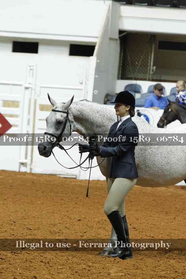 Proof Number 15R9_06784