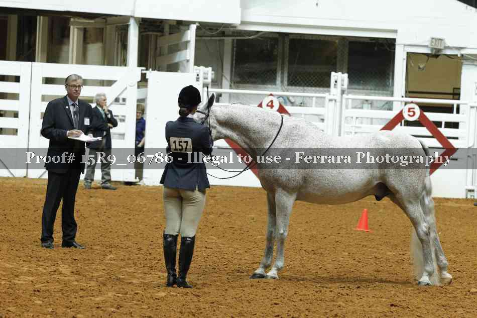 Proof Number 15R9_06786