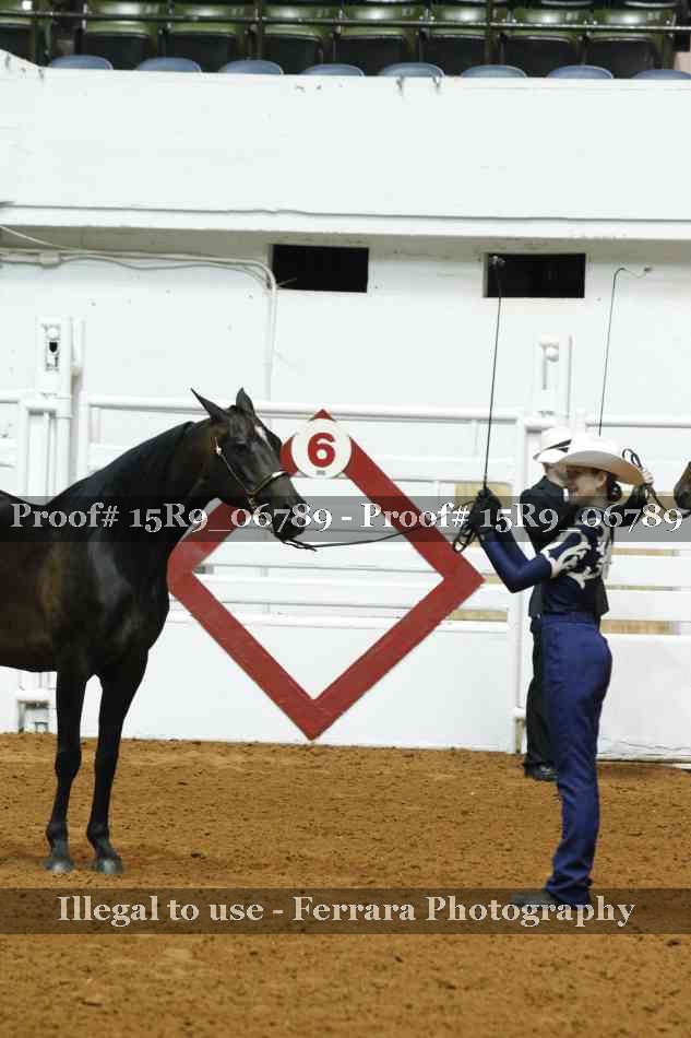 Proof Number 15R9_06789
