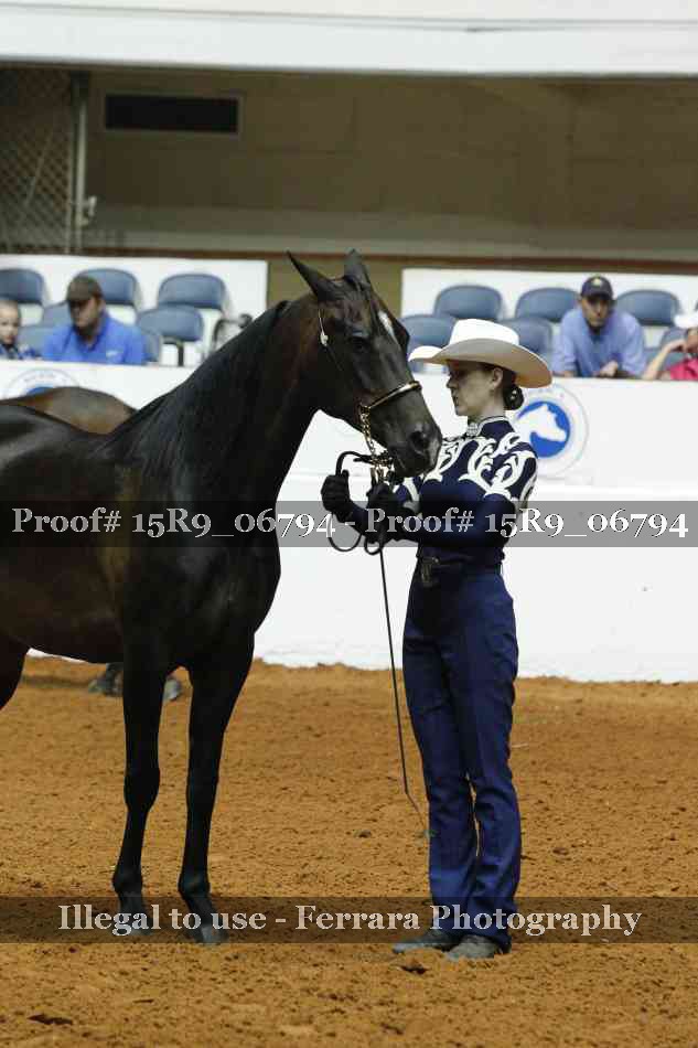 Proof Number 15R9_06794