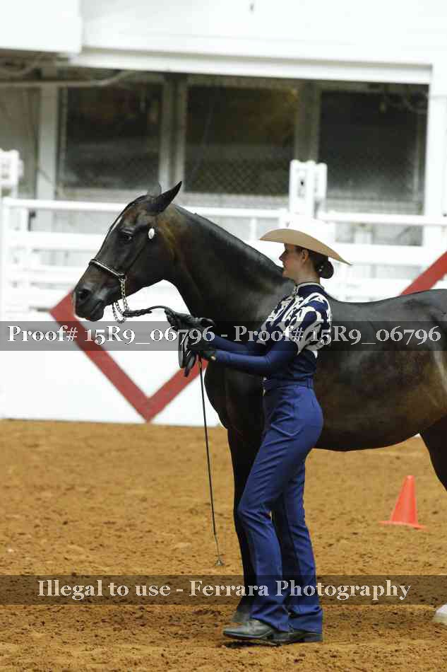 Proof Number 15R9_06796