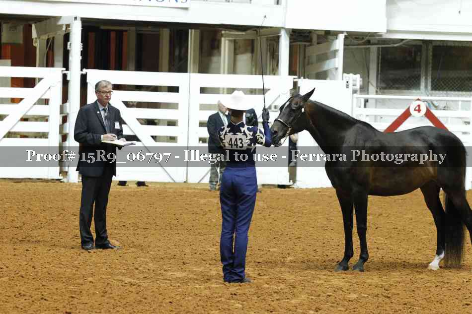 Proof Number 15R9_06797