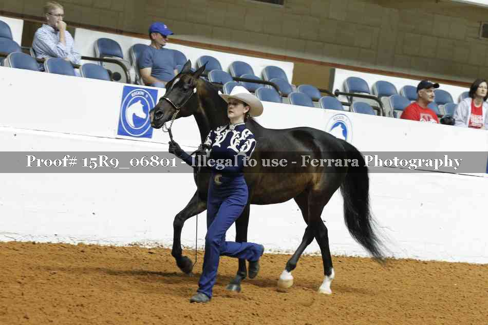 Proof Number 15R9_06801