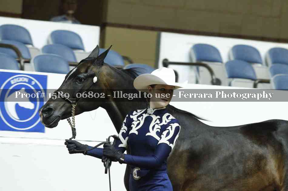 Proof Number 15R9_06802