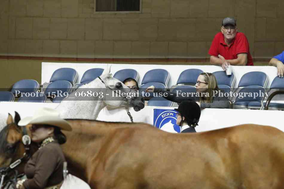 Proof Number 15R9_06803