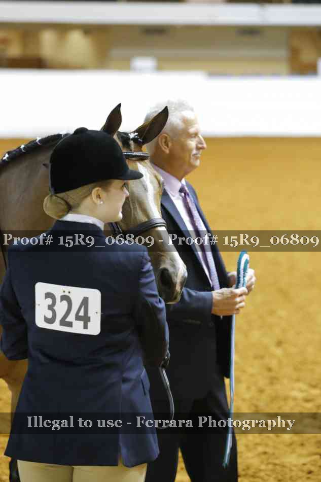Proof Number 15R9_06809