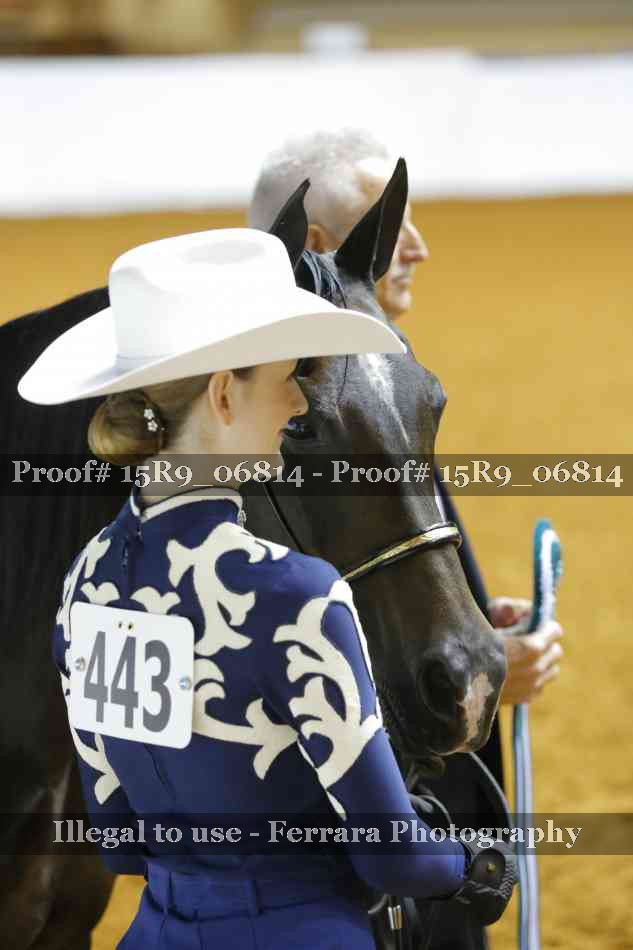 Proof Number 15R9_06814