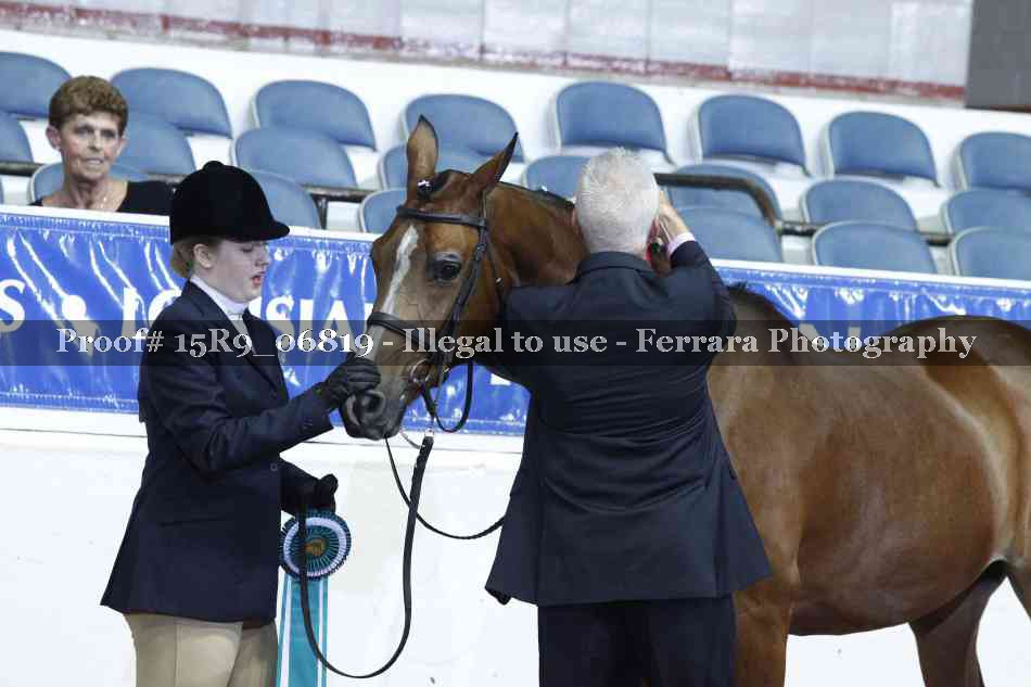 Proof Number 15R9_06819