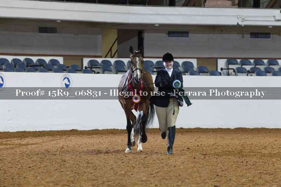 Proof Number 15R9_06831