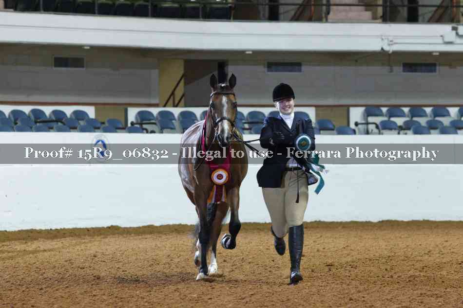 Proof Number 15R9_06832