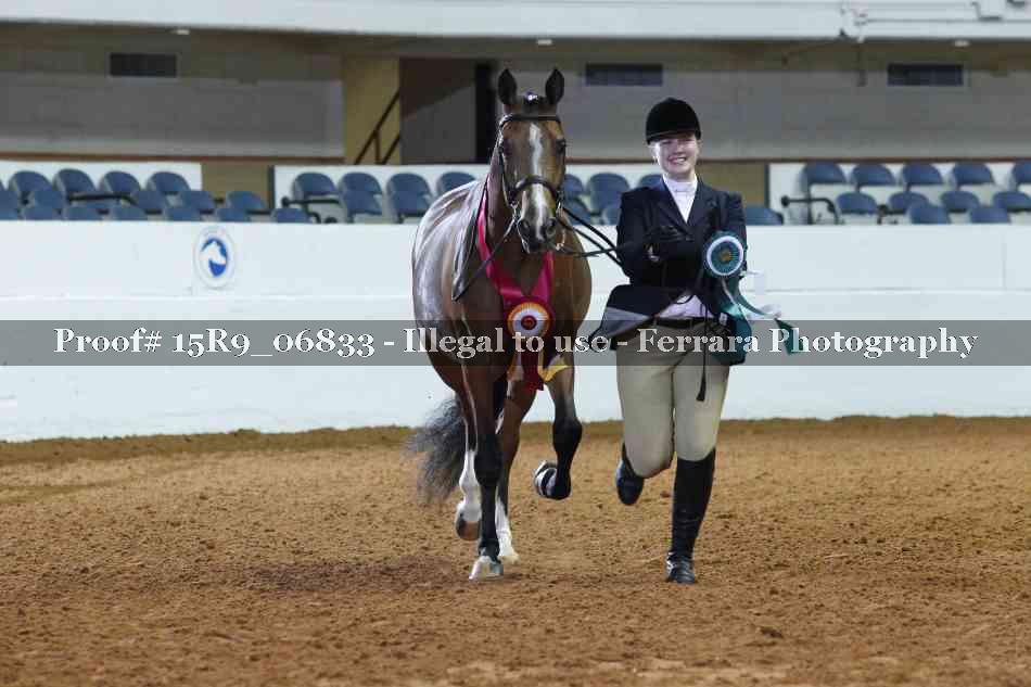 Proof Number 15R9_06833