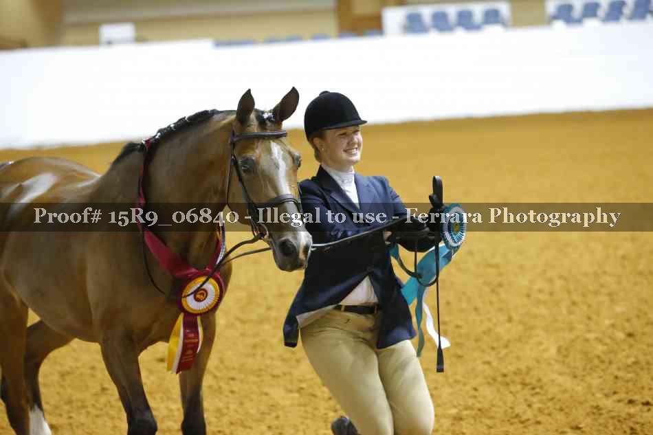 Proof Number 15R9_06840