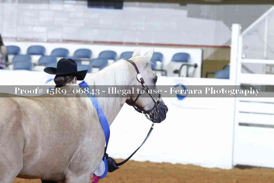 Proof Number 15R9_06843