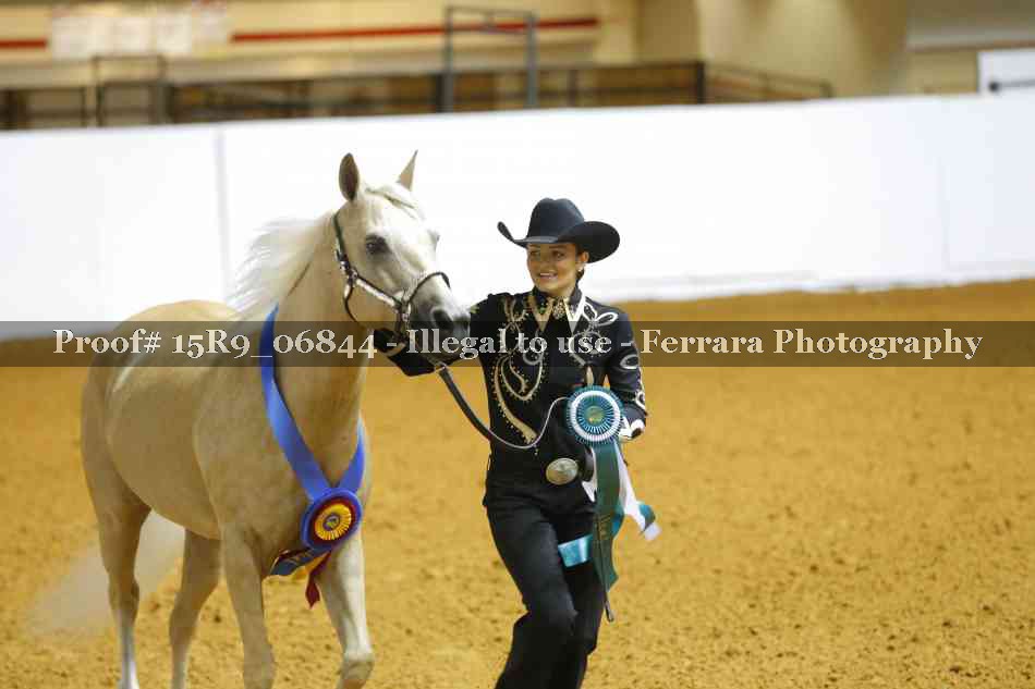 Proof Number 15R9_06844